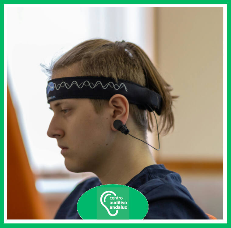 Percibir Sonidos Cerebro